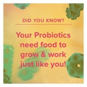 Probiotic Prebiotic - Verdadeiro ou Falso - Probióticos Alimentos - 1080x1080