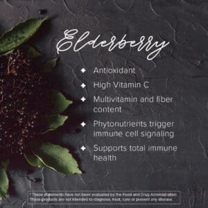 Daily Wellness - Ingredientes Sabugueiro