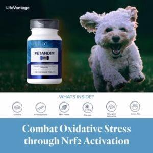 Petandim for dogs 03