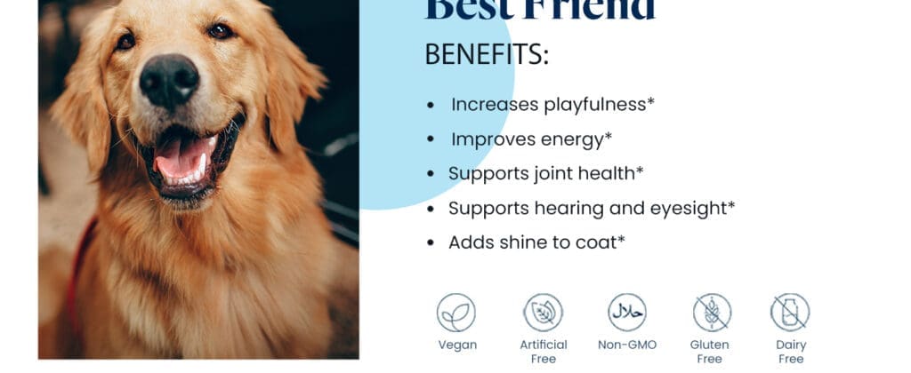 Revolucionando o envelhecimento canino: Nutrigenómica e Saúde Canina Exploradas 3 Petandim para cães LifeVantage descrição 05
