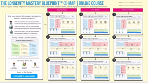 Levensduur Meesterschap 1 Levensduur Mastery Blauwdruk Eén Pagina Kaart