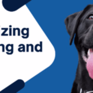 Revolucionando o envelhecimento canino: Nutrigenómica e Saúde Canina Exploradas 2 Revolucionando o envelhecimento canino Nutrigenómica e saúde canina exploradas