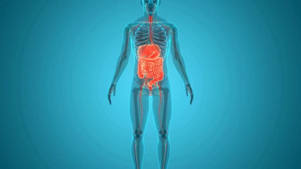 Lifevantage Gut Health: Essential Insights For A Healthier You 2 fca9b785 3c3f 46c2 ba52 d0792e62c735