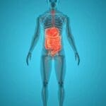Lifevantage Saúde Intestinal: Informações essenciais para uma vida mais saudável 12 fca9b785 3c3f 46c2 ba52 d0792e62c735