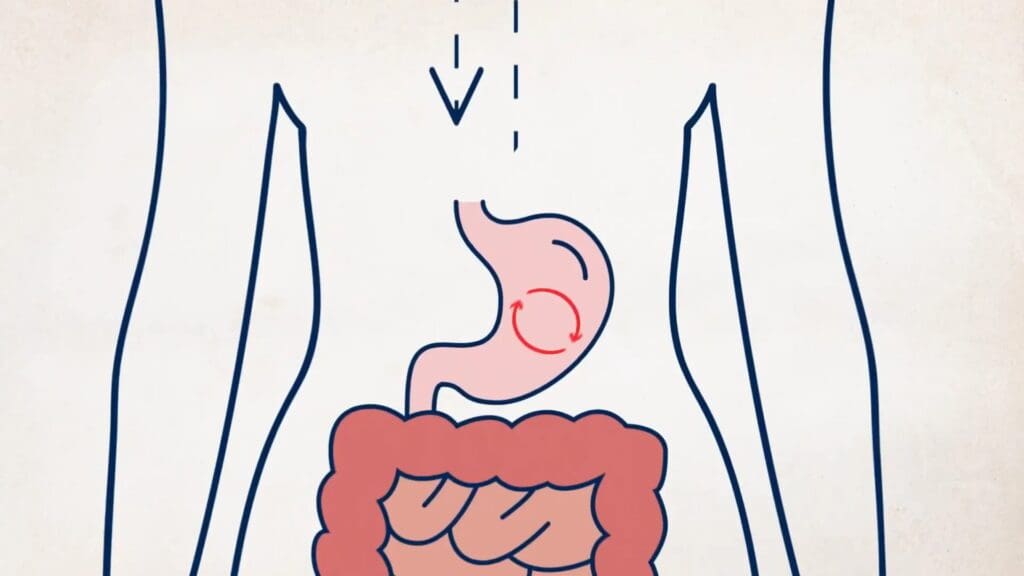 De kracht van glp-1 ontsluiten: uw gids voor gewichtsverlies en welzijn 8 LifeVantage Mindbody-systeem