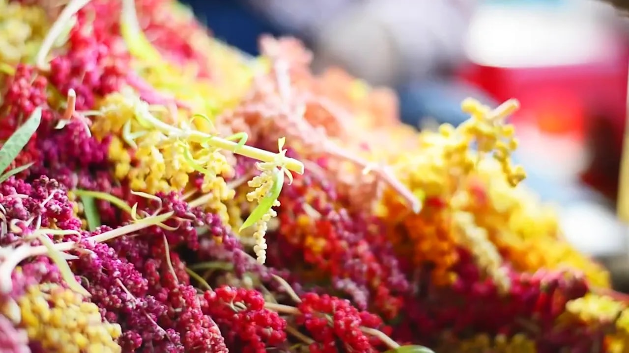 Activate Skin Collagen With Truescience Liquid Collagen 2 Close-up of ruby quinoa clusters in red and yellow