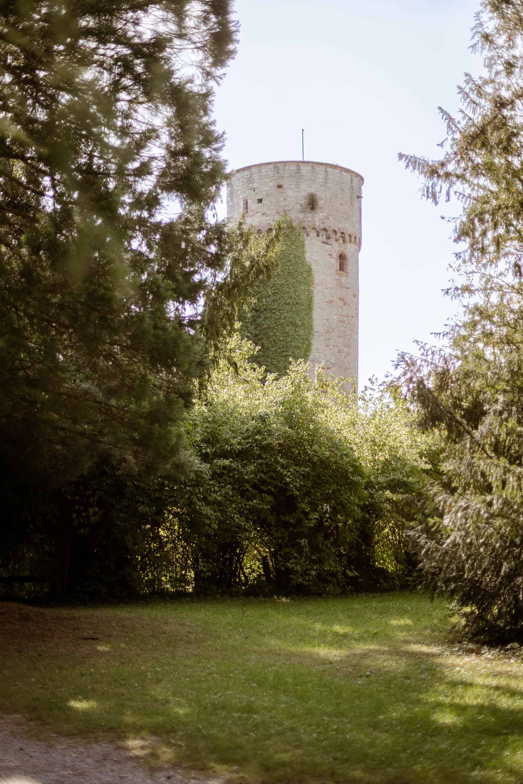 hochzeitsfotograf nagold calw 83