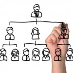 Org Chart