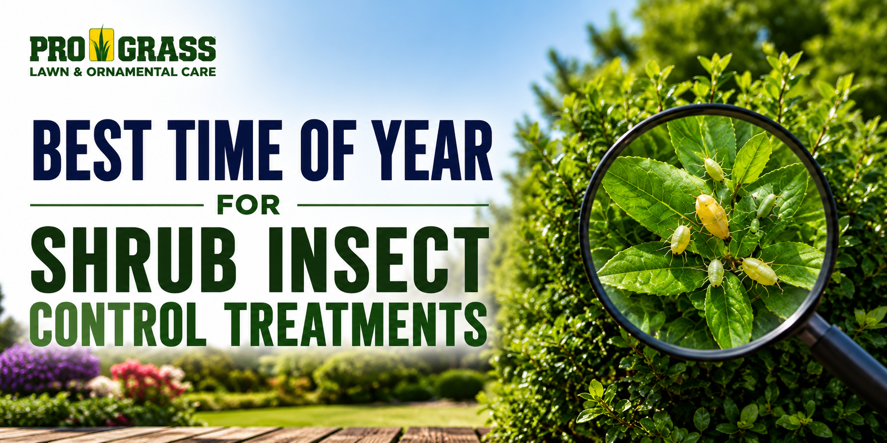 Shrub Insect Control Treatments