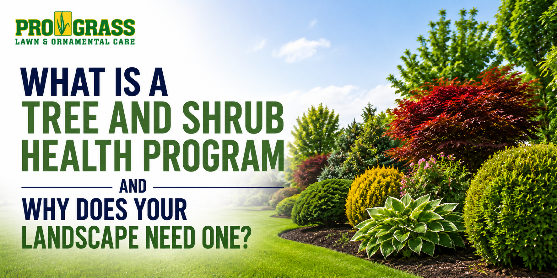 Tree and Shrub-Health Program