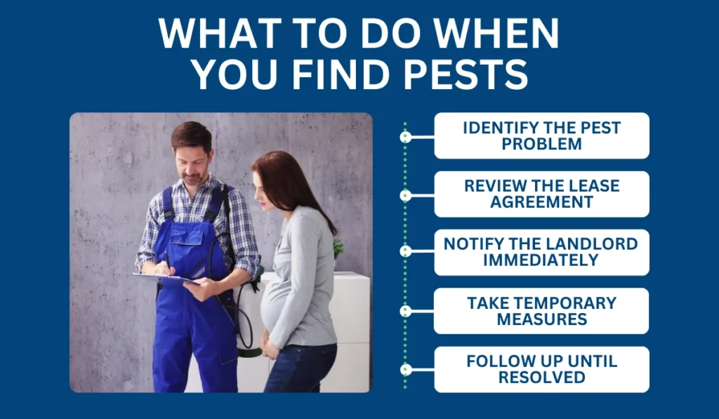 What to Do When You Find Pests