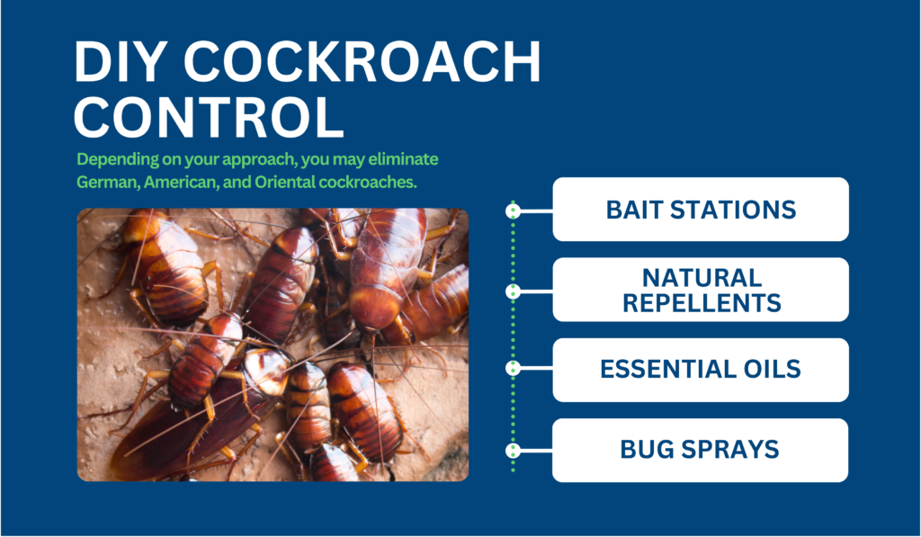 diy cockroach control