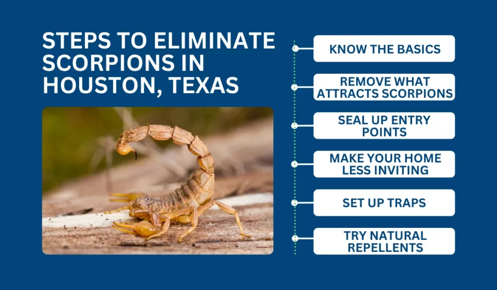 Eliminate Scorpions