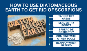 How to Use Diatomaceous Earth to Get Rid of Scorpions