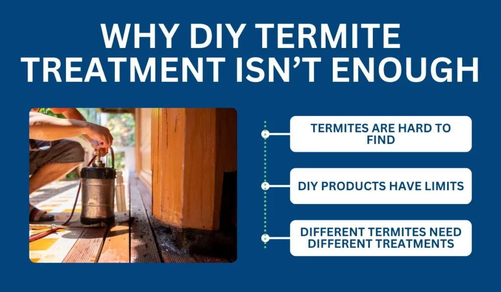 Why DIY Termite Treatment Isnโt Enough