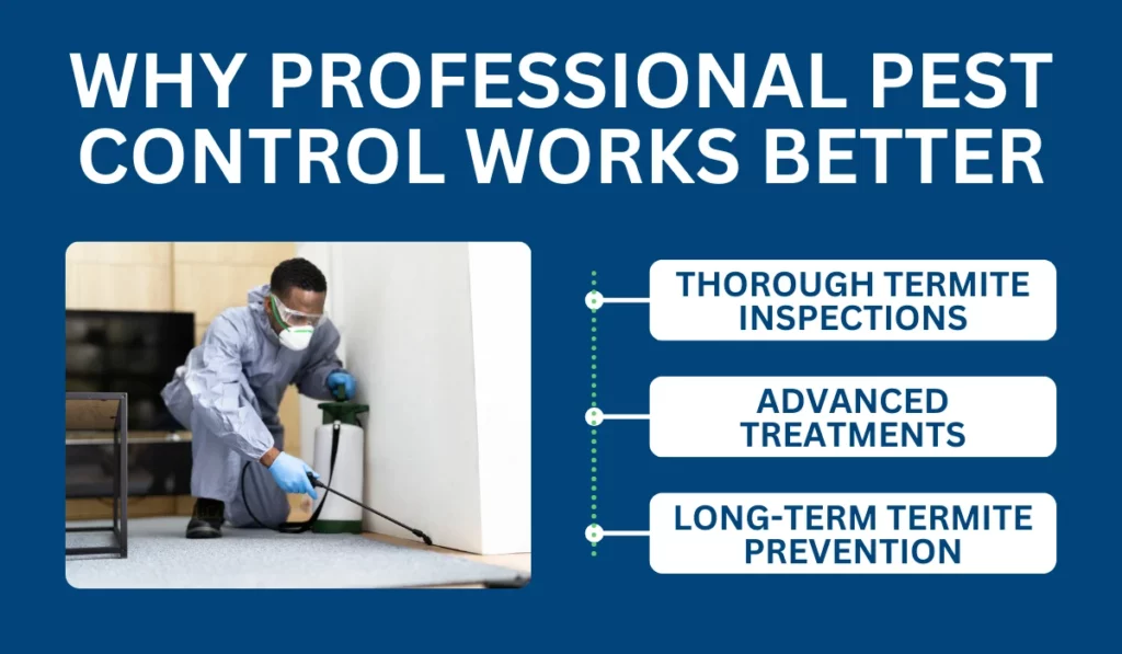 Why Professional Pest Control Works Better