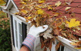 fall home maintenance gutter cleaning