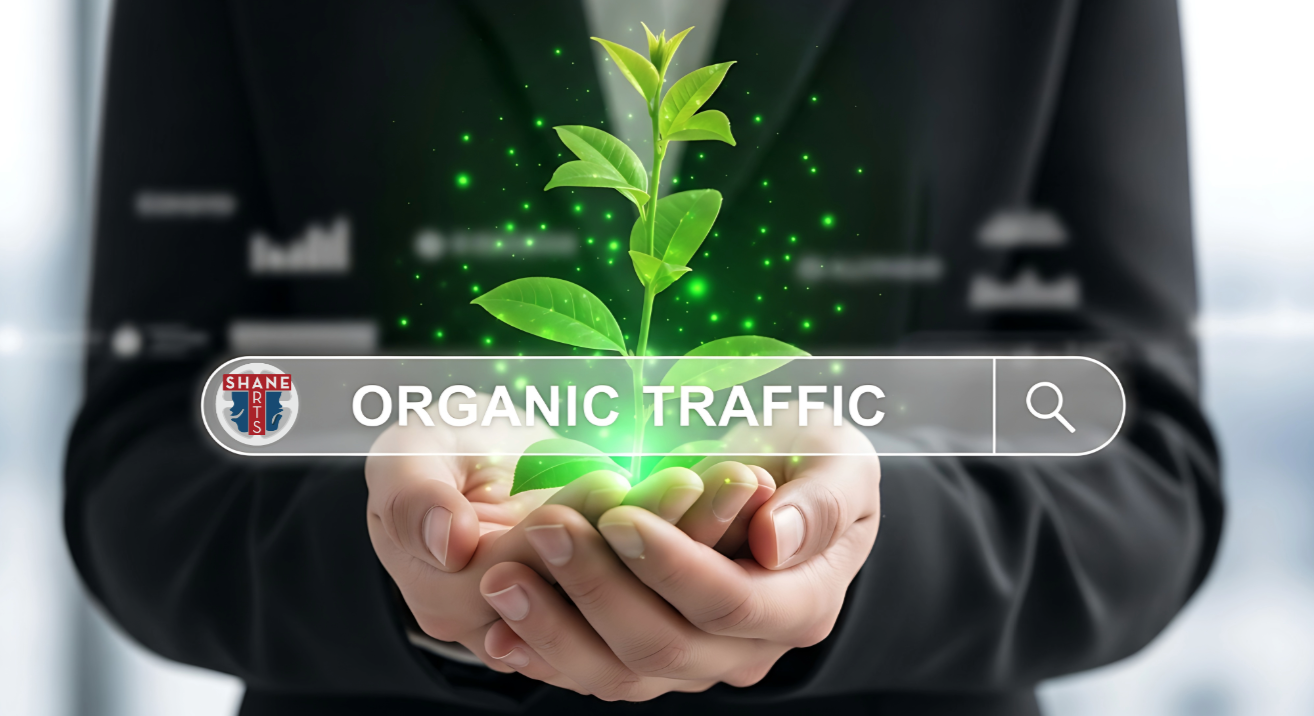 SA-OrganicTraffic - Shane Arts Organic Traffic