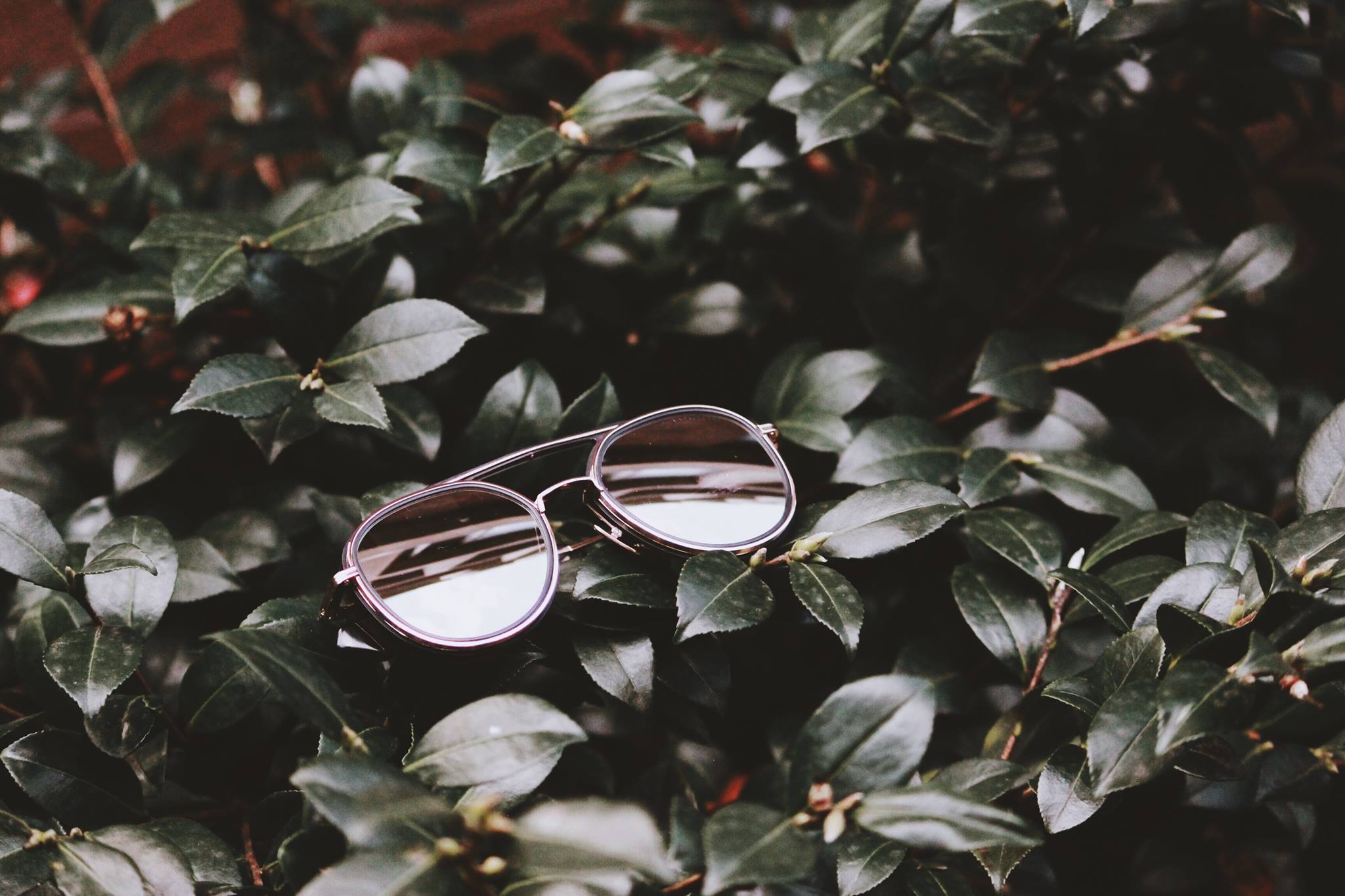 SPECTACLE - Modern Vision Care + Optical Portland Aerial Tram – Scenic Views Above the City