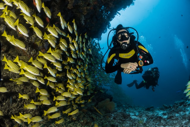 Scuba diving certification Okinawa