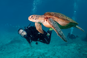 Yamada Coral Farm Okinawa