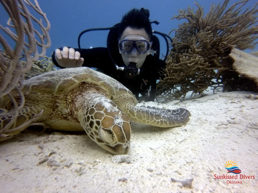 photo - a man scuba diving with a turtle in okinawa