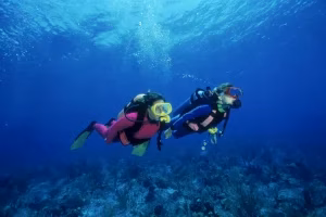photo - beautiful okinawa diving