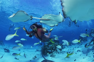 photo - safe diving in okinawa