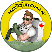 Mosquito Man