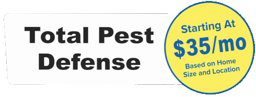 pest control pricing white Pest Control - Beeline Pest Control of Texas