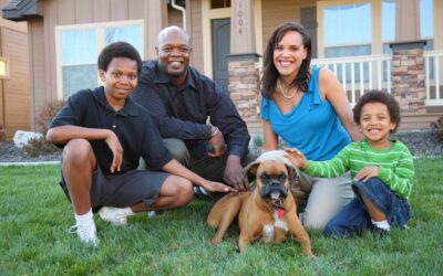 Blog 1 Are Fire Ants Dangerous to Pets? What Texas Homeowners Should Know