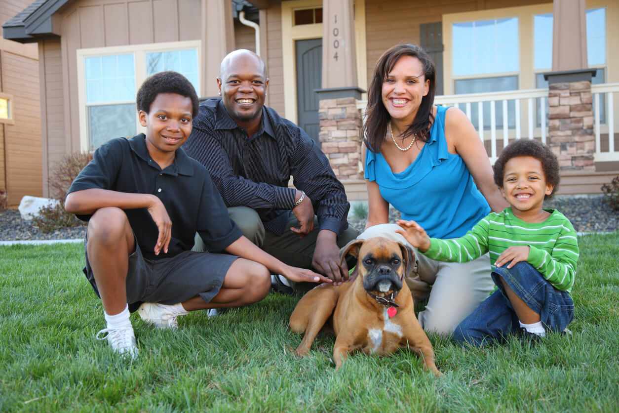 Are Fire Ants Dangerous to Pets? What Texas Homeowners Should Know Are Fire Ants Dangerous to Pets? What Texas Homeowners Should Know
