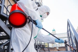 How to Get Rid of Ants: Proven Home Solutions and Tips 1 Protective Suit Spraying