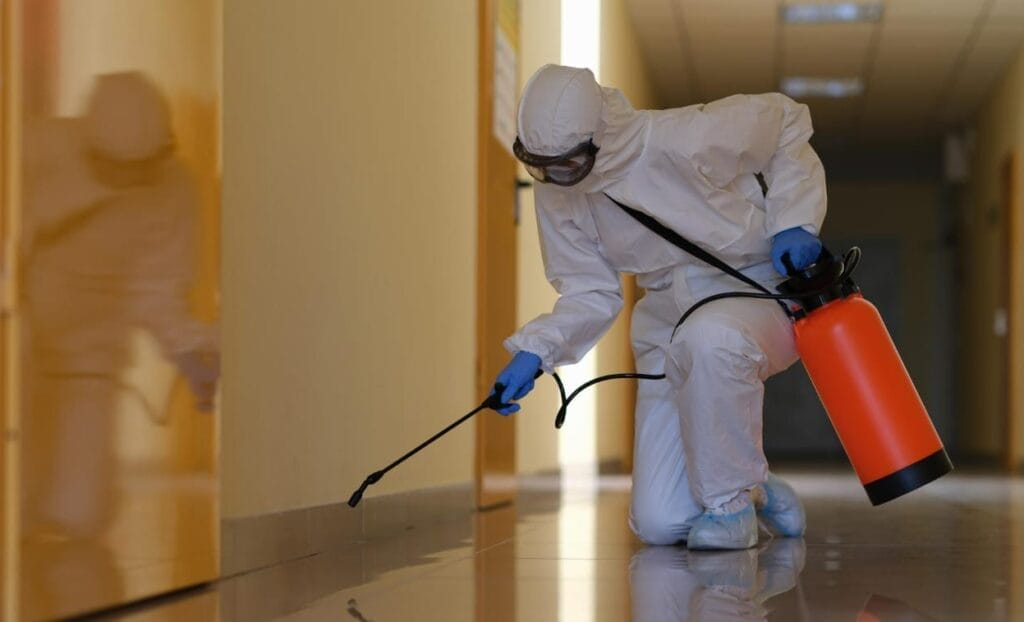 How to Get Rid of Ants: Proven Home Solutions and Tips 3 Office Sprayed with protective Suit