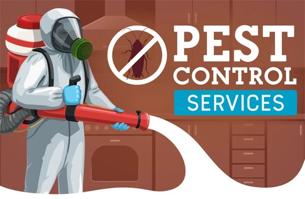 How to Get Rid of Ants: Proven Home Solutions and Tips 4 Graphic of Pest Control Service