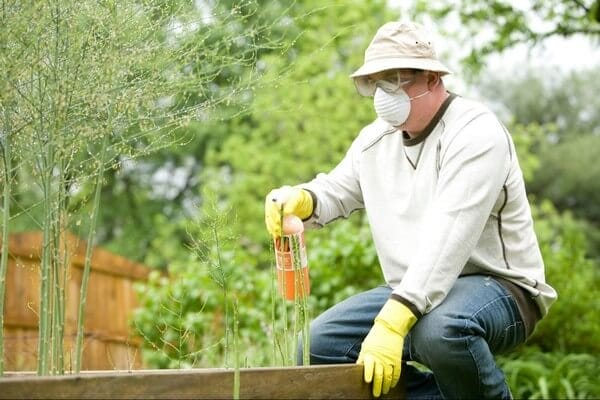 Battling Bed Bugs in Texas: Effective Strategies for Homeowners 3 man on pest control spray