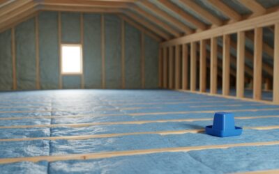 Blog 5 How Much Does Pest Control Cost in San Antonio? A Local Pricing Guide
