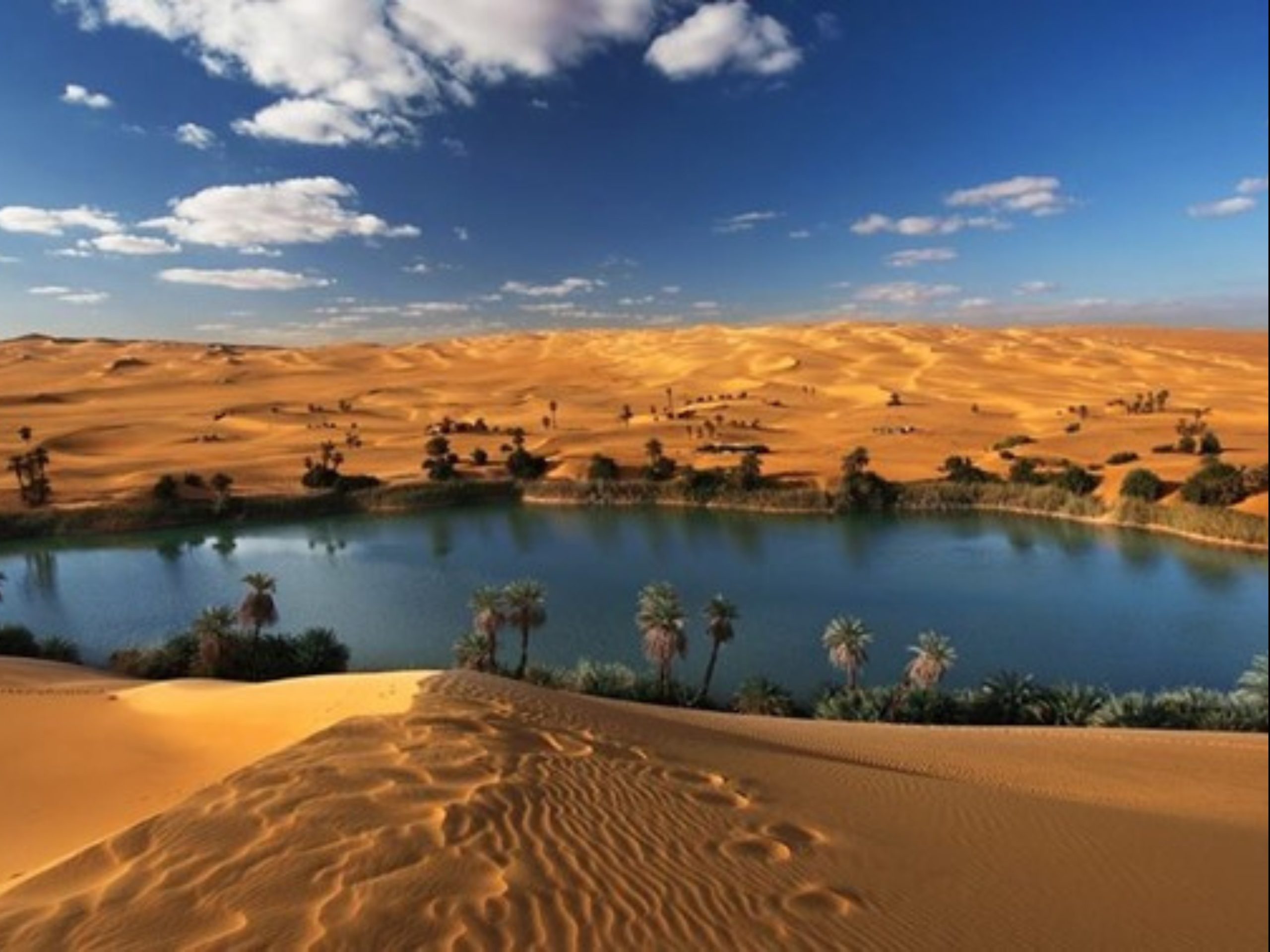 Siwa Oasis