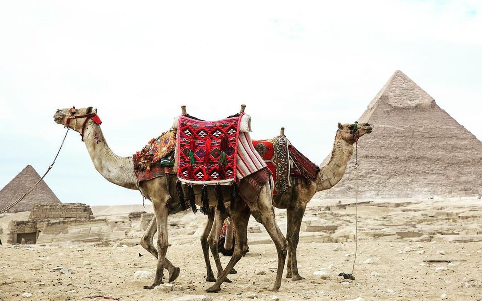 Giza Pyramids 3