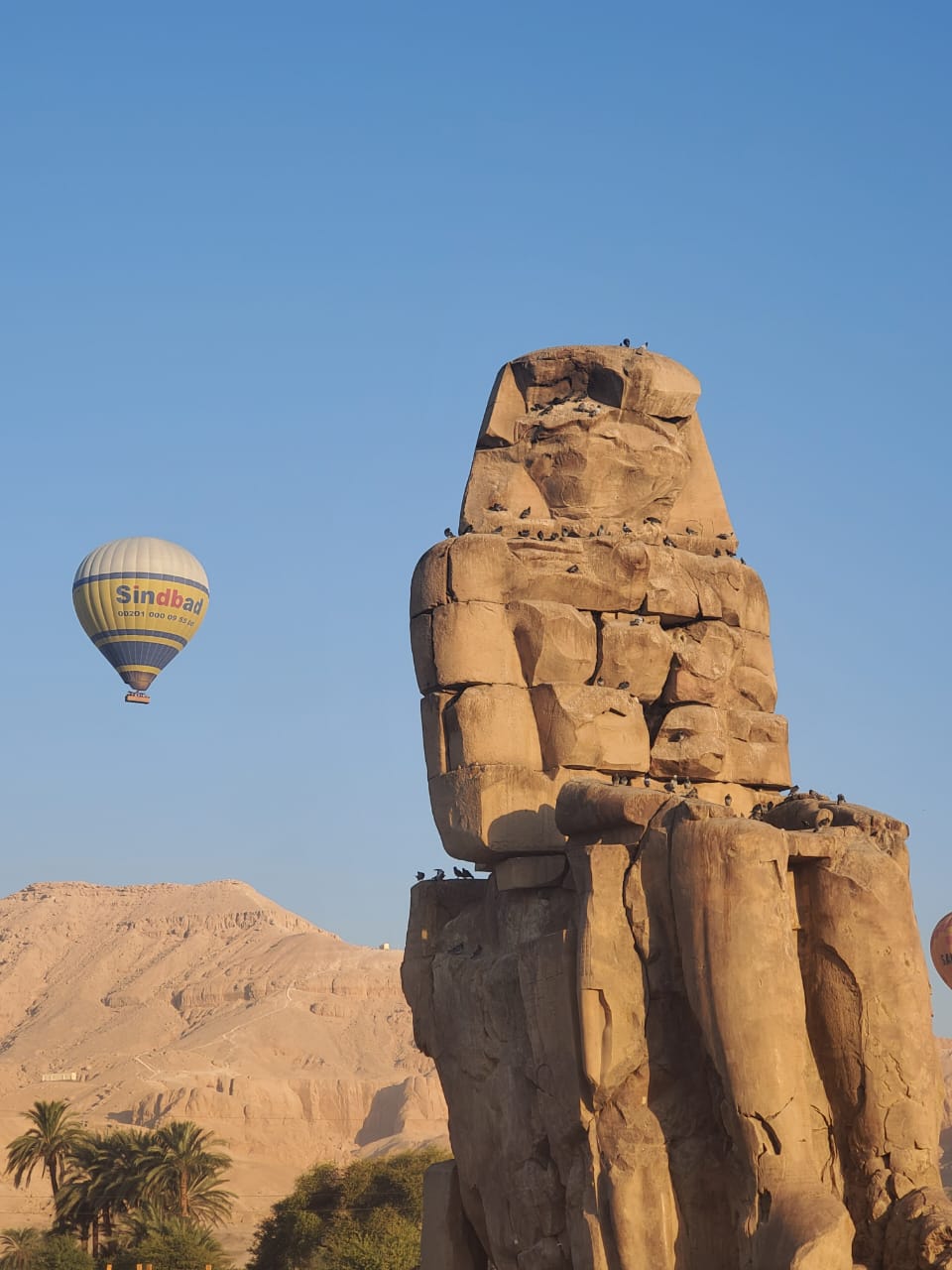 hot air balloon ride over colossi of memnon luxor egypt (1)