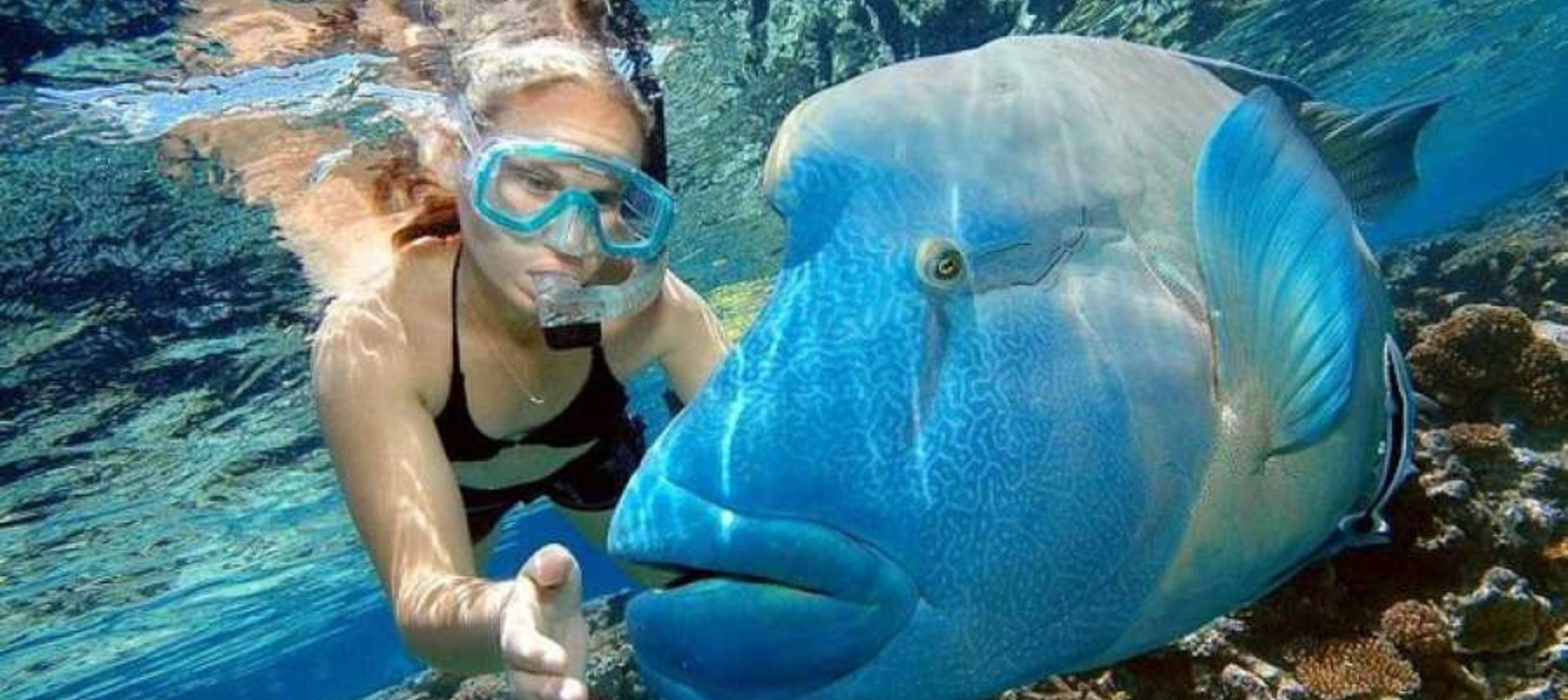 Nile Cruise and Hurghada