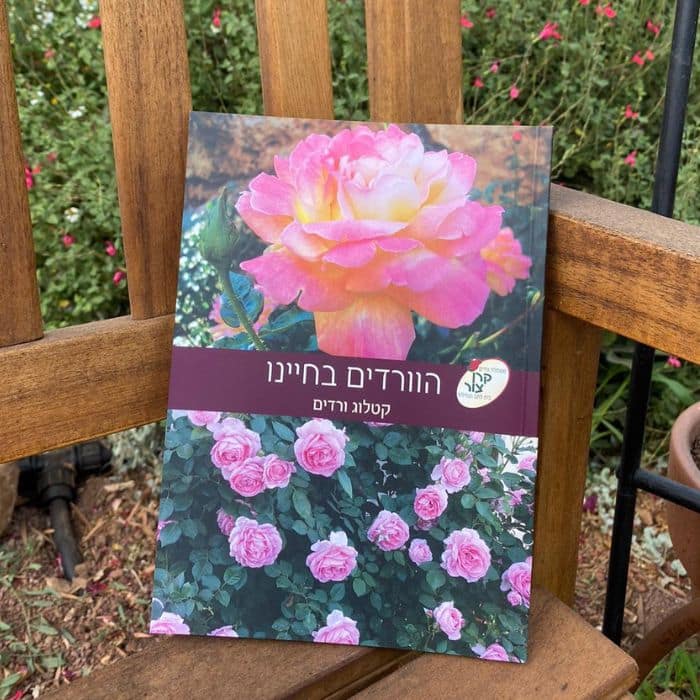 קטלוג