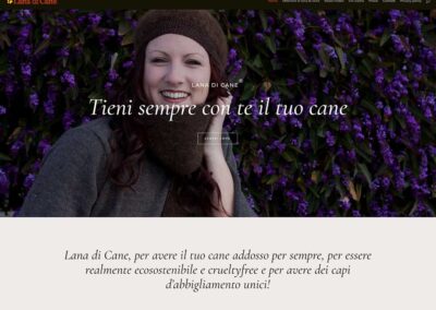 Realizzazione-siti-web-roma-siti-web-ok