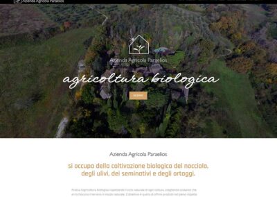 Realizzazione-siti-web-roma-siti-web-ok