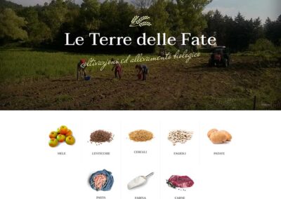 Realizzazione-siti-web-roma-siti-web-ok