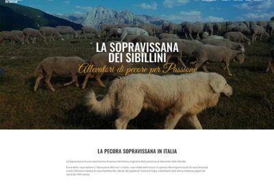 Realizzazione-siti-web-roma-siti-web-ok