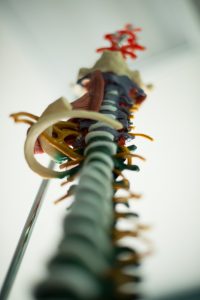 Functional chiropractic
