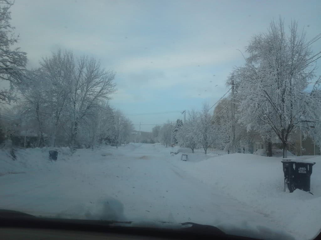 Snow-covered residential street with trees and utility poles in winter.