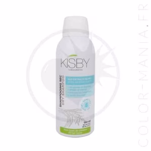 Shampoing Sec Aérosol 150 mL | Color-Mania