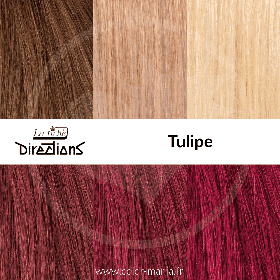 Swatch Tulipe